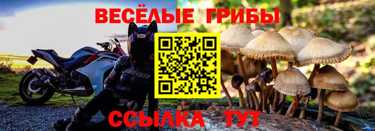 где найти   Галлюциногенные грибы мухоморы  Вход с VPN  Псилоцибиновые грибы Psilocybine cubensis  Зеленокумск 